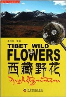 西藏野花