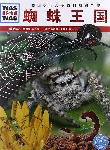 蜘蛛王国