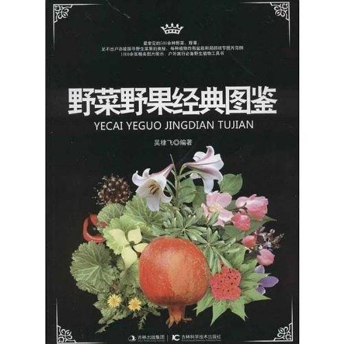 新编临床用药速查手册