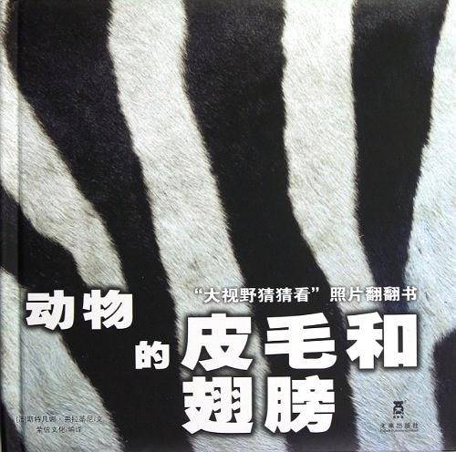 动物的皮毛和翅膀-大视野猜猜看照片翻翻书