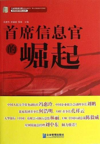 首席信息官的崛起