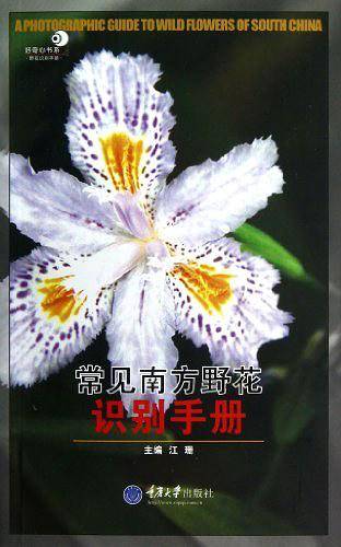 常见南方野花识别
