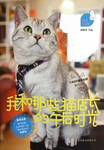 我和那些猫店长的午后时光