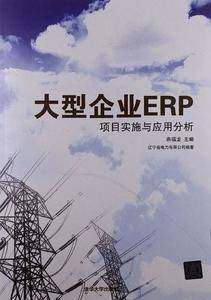 大型企业ERP项目实施与应用分析