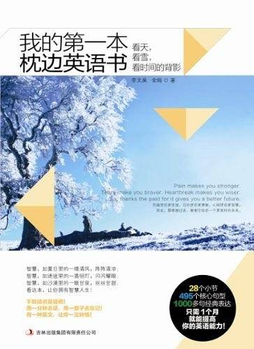 看天，看雪，看时间的背影