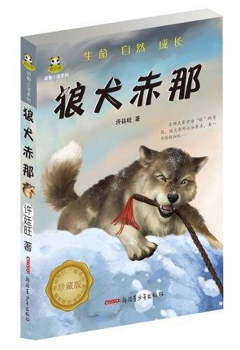 罕山雪狼
