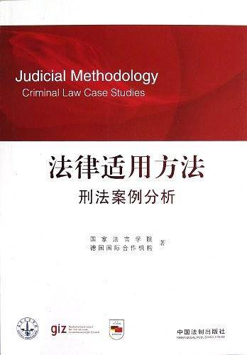 法律适用方法・刑法案例分析