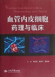 血管内皮细胞药理与临床