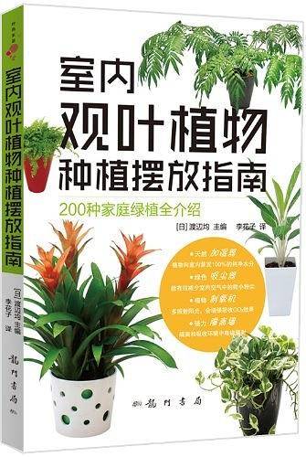 室内观叶植物种植摆放指南