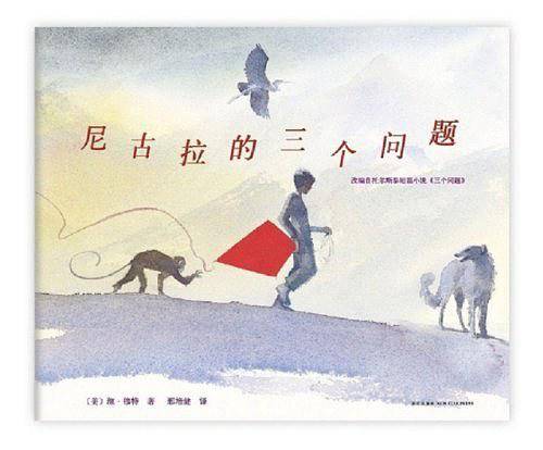 尼古拉的三个问题