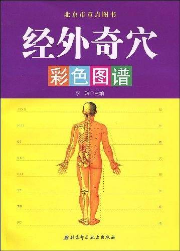 经外奇穴彩色图谱