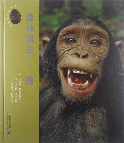 森林顽主