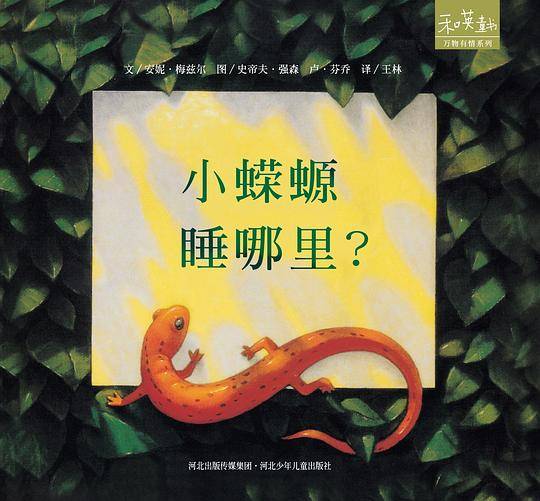 小蝾螈，睡哪里？
