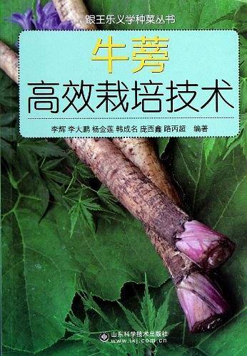 牛蒡高效栽培技术