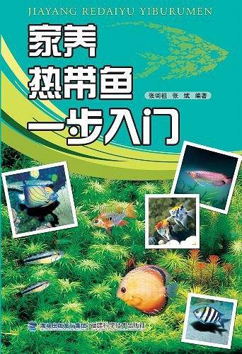 家养热带鱼一步入门