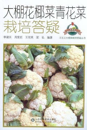 大棚花椰菜青花菜栽培答疑