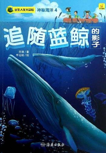 出生入死大冒险 神秘海洋4 追随蓝鲸的影子