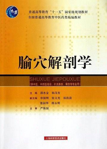 腧穴解剖学