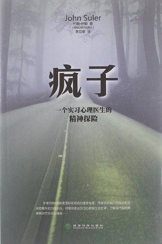 疯子――一个实习心理医生的精神探险