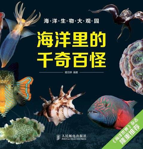 海洋里的千奇百怪
