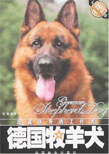 德国牧羊犬
