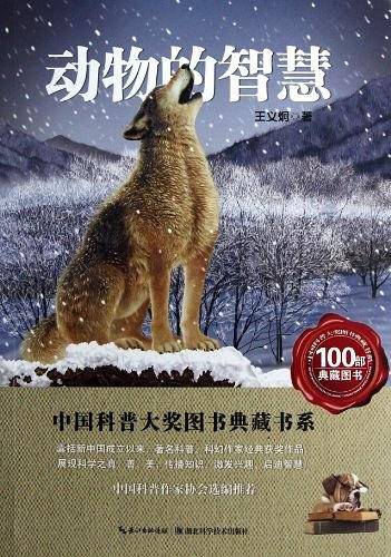 动物的智慧