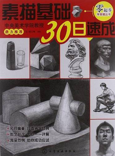 零起步学素描丛书--素描基础30日速成