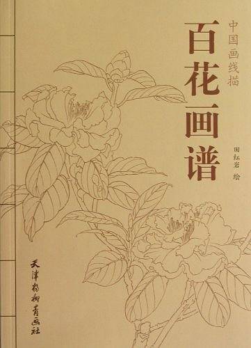 百花画谱-中国画线描