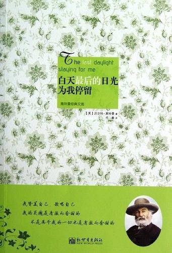 白天最后的日光为我停留