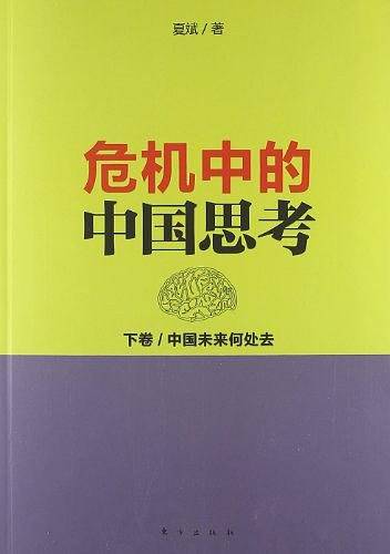 危机中的中国思考(下卷):中国未来何处去
