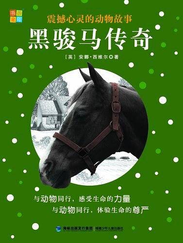 黑骏马传奇/震撼心灵的动物故事