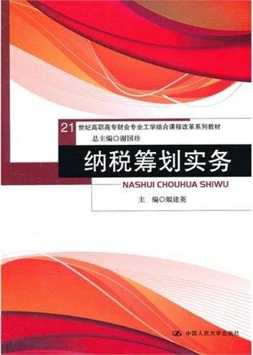 纳税筹划实务