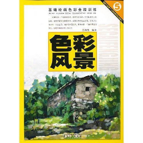 基础绘画色彩全程训练