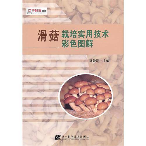 滑菇栽培实用技术彩色图解