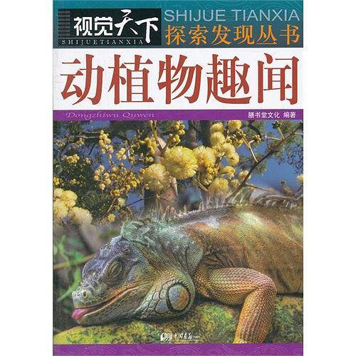 视觉天下