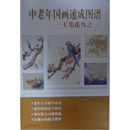 中老年国画速成图谱