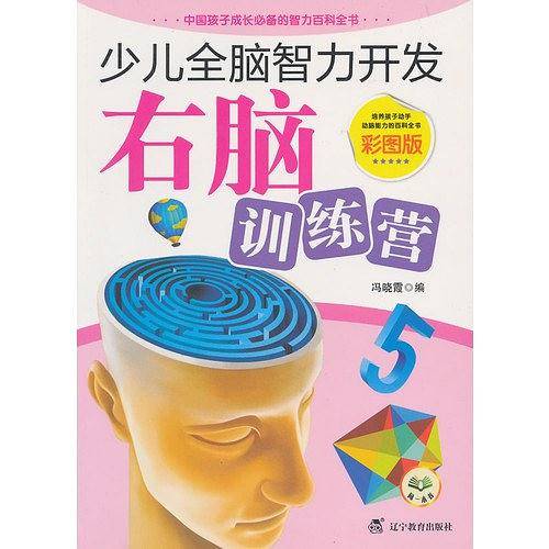 少儿全脑智力开发：右脑训练营