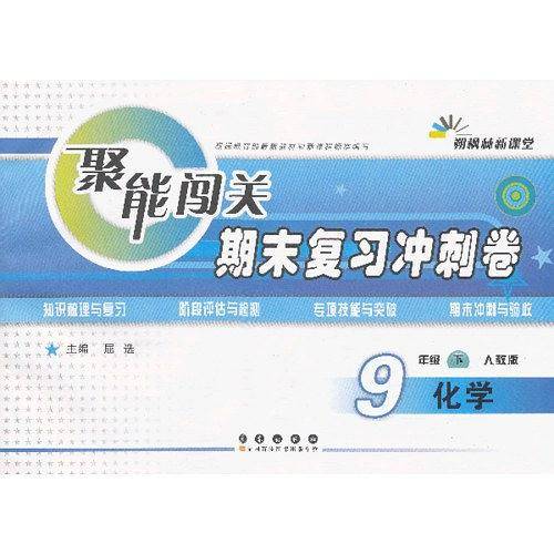 聚能闯关100分期末复习冲刺卷化学九年级下册21春*RJ版