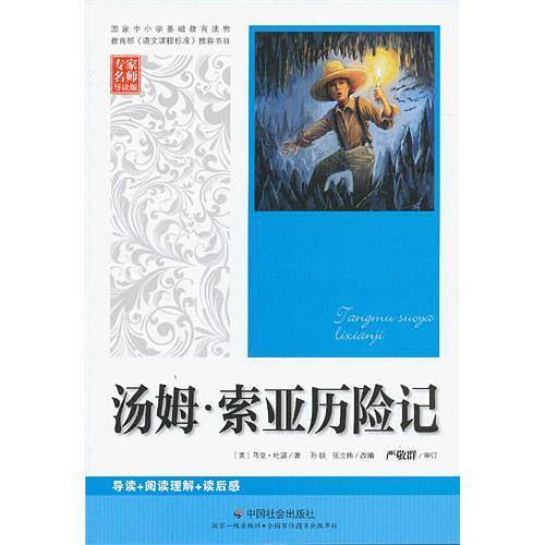 汤姆・索亚历险记
