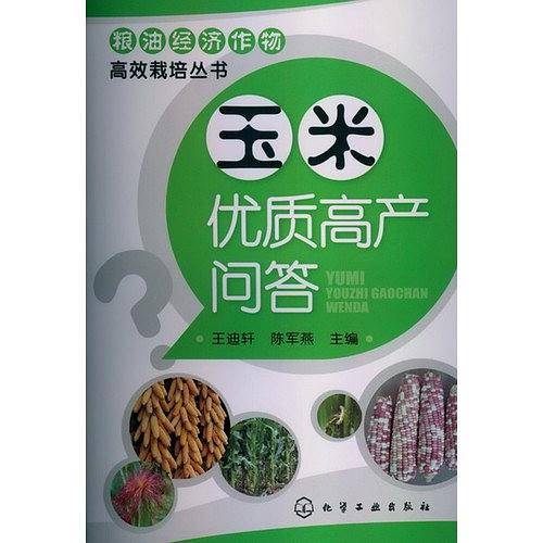 玉米优质高产问答