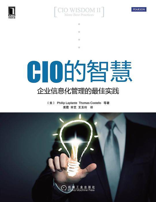 CIO的智慧：企业信息化管理的最佳实践