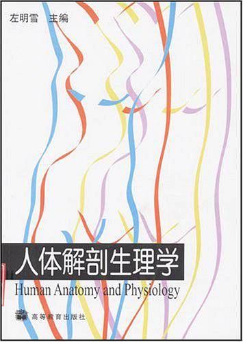 人体解剖生理学