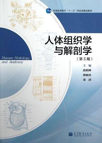 人体组织学与解剖学