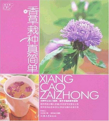 香草栽种真简单