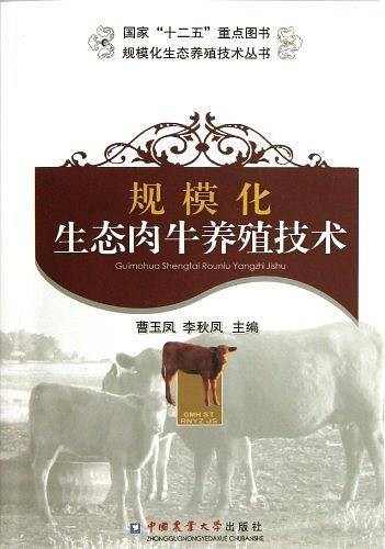规模化生态肉牛养殖技术