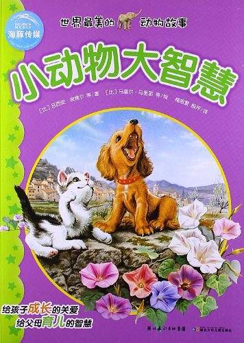 世界最美的动物故事