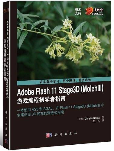 Adobe Flash 11 Stage3D