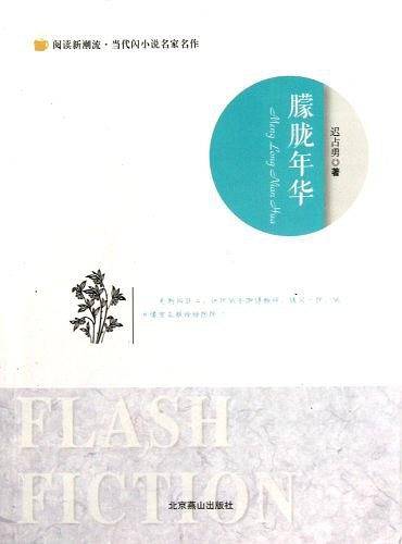 朦胧年华/阅读新潮流当代闪小说名家名作