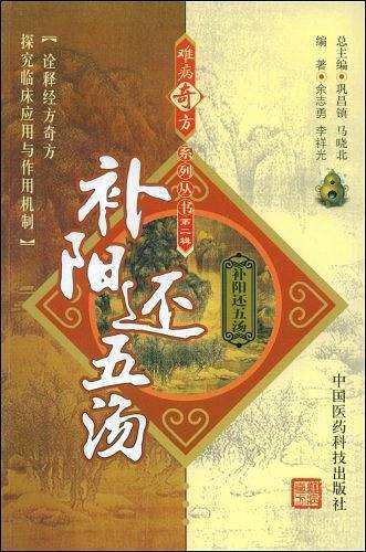 补阳还五汤