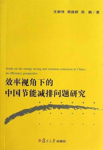 效率视角下的中国节能减排问题研究